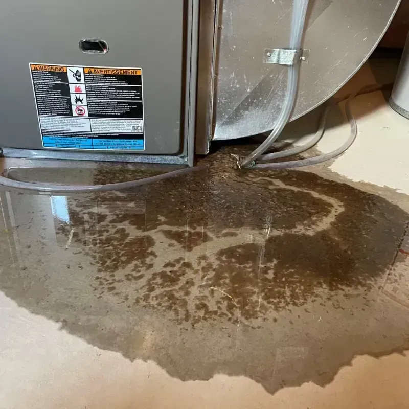 Appliance Leak Cleanup in North Sioux City, SD